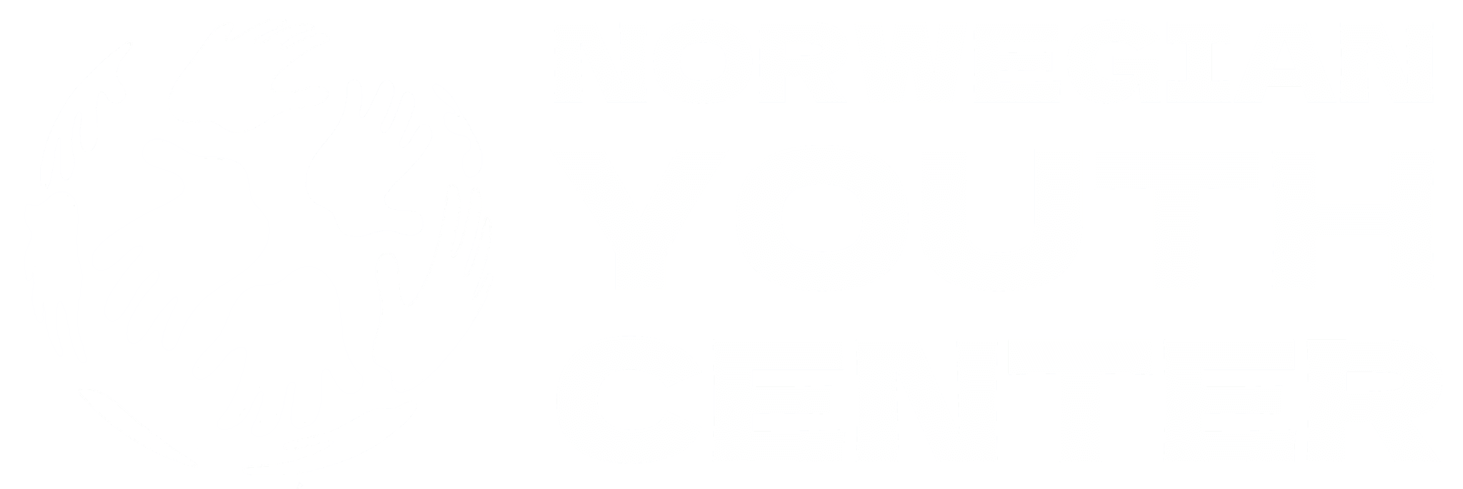 Norwegian Youth Center